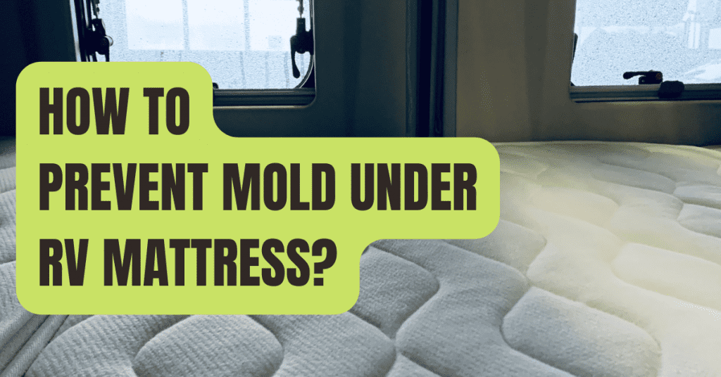 How to Prevent Mold Under RV Mattress? Rving Beginner