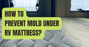 How to Prevent Mold Under RV Mattress?