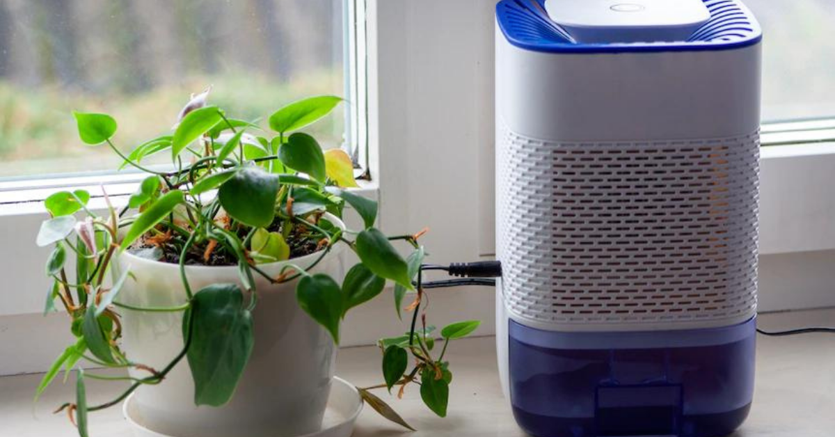 Do You Really Need An RV Dehumidifier? RVing Beginner