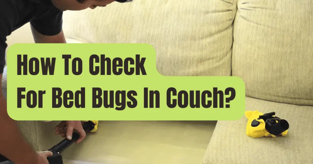 How To Get Beer Out Of Couch RVing Beginner