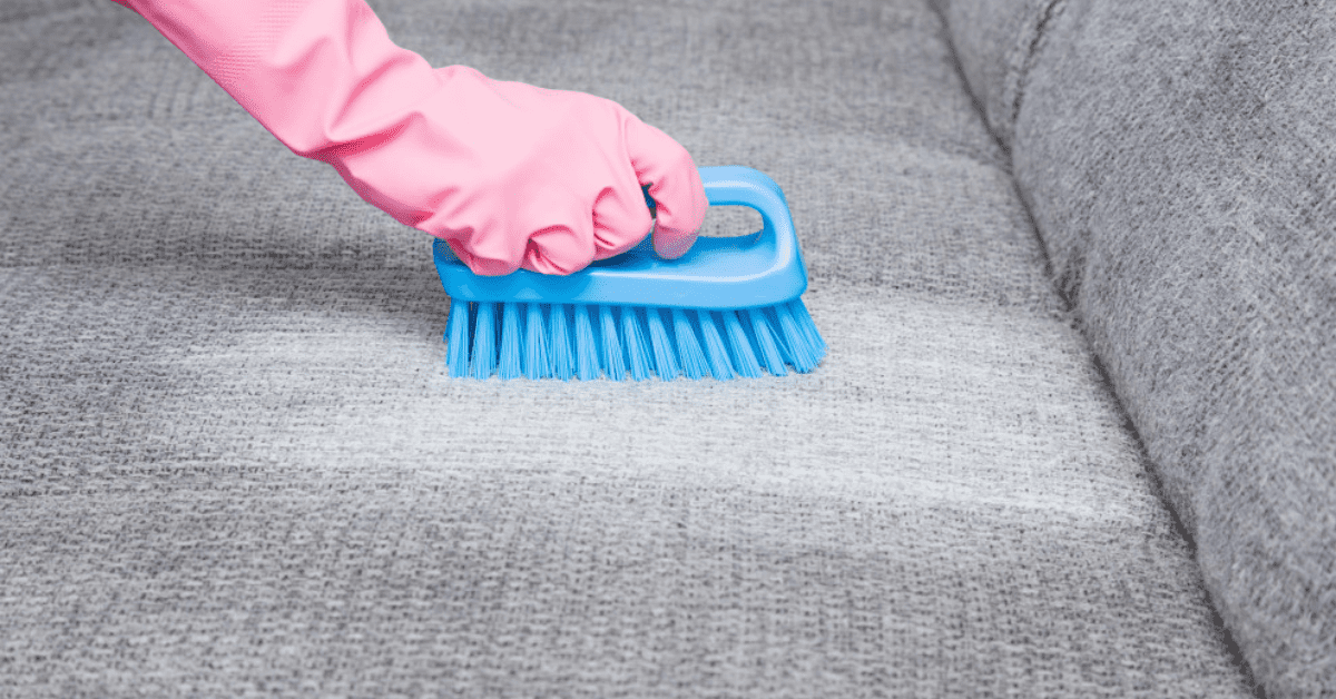 How to Disinfect a Couch RVing Beginner
