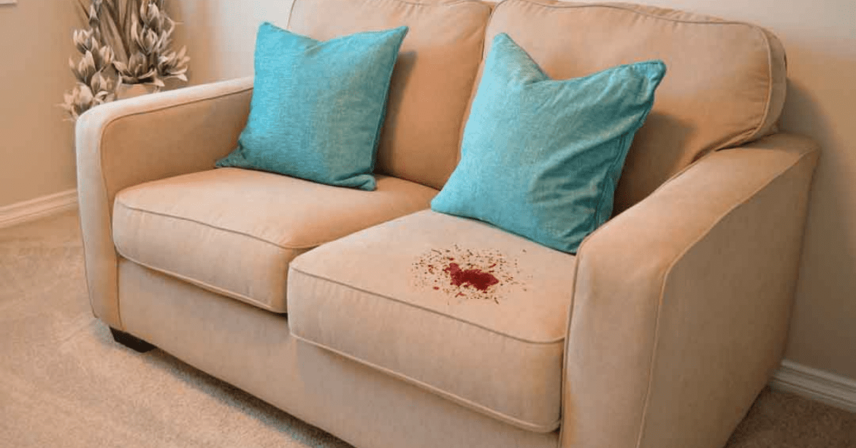How To Get Blood Off Couch RVing Beginner