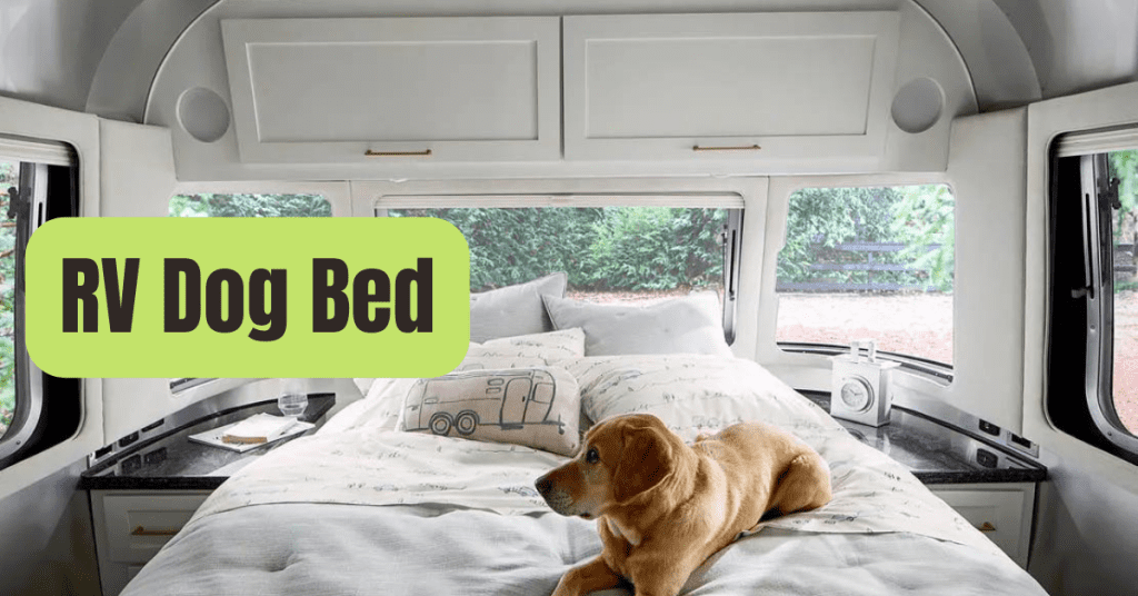 Upgrade Your Camper With An Electric RV Bed Lift RVing Beginner