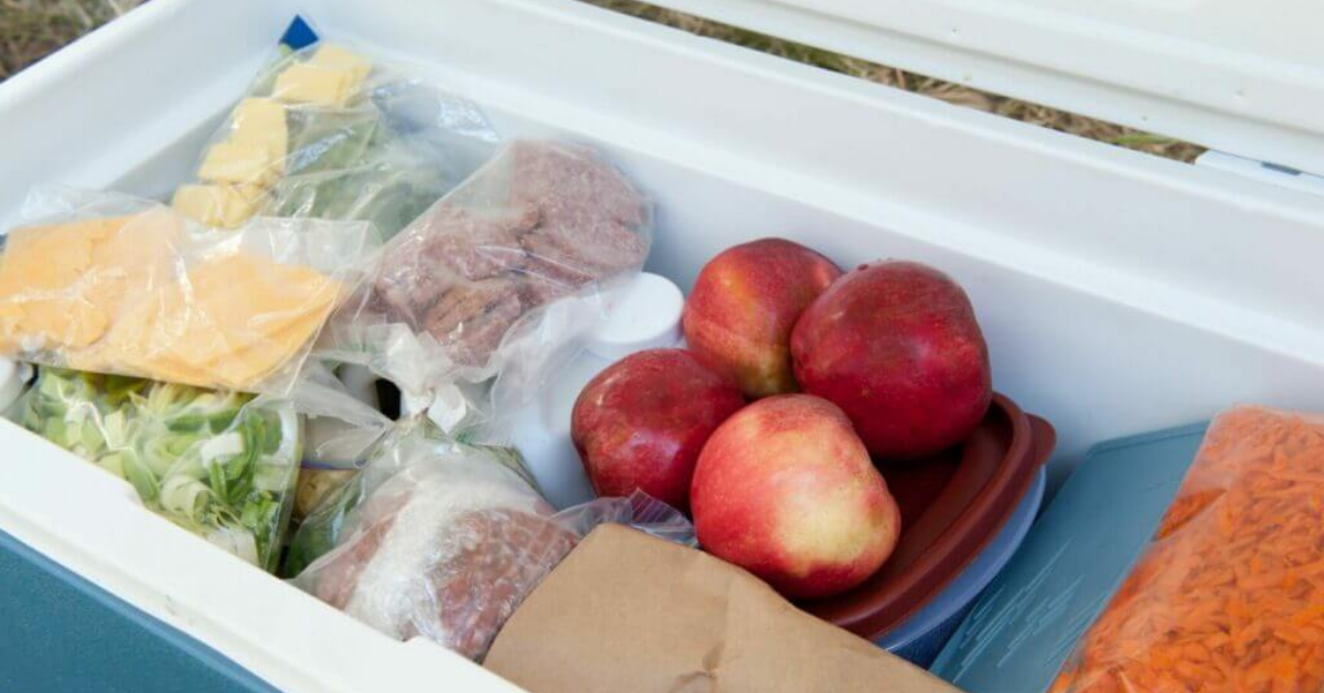 How Many Amps Does A Rv Fridge Use at Gregorio Mayo blog