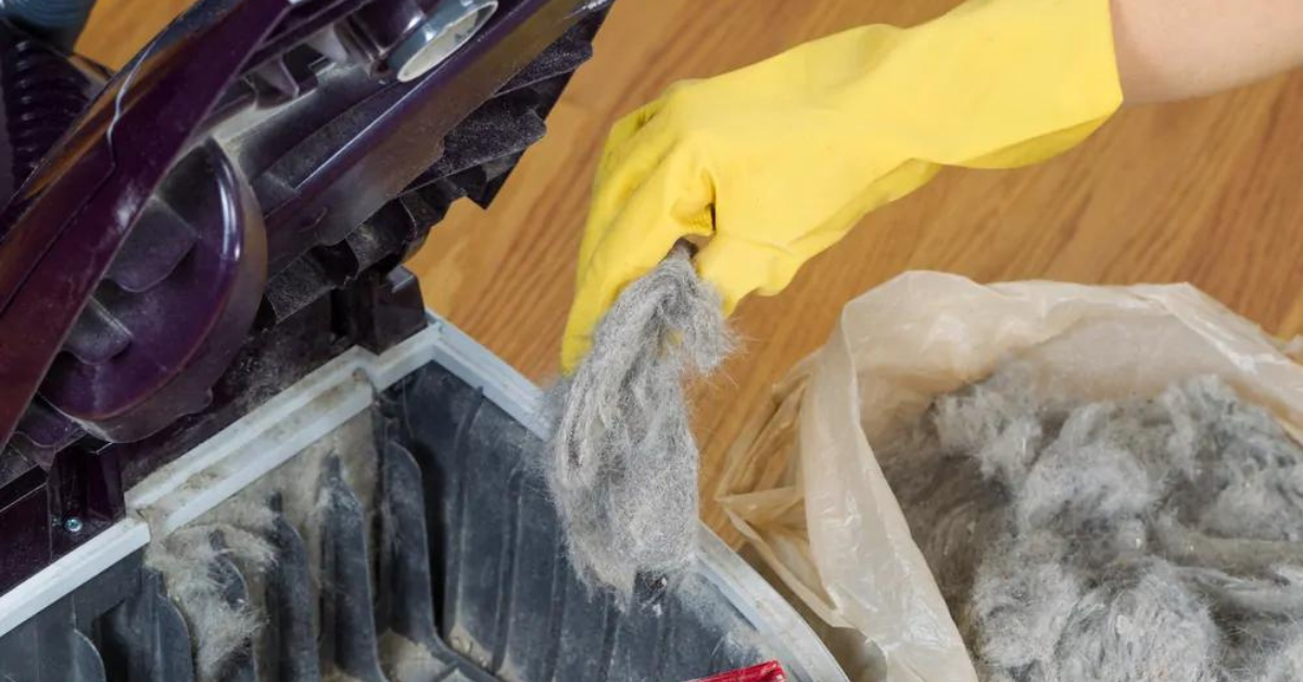 Why Does My Vacuum Cleaner Smell So Bad When I Vacuum? RVing Beginner